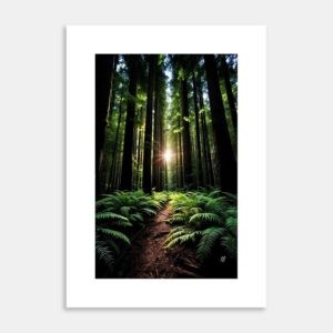 Under The Giant Redwoods by Hiriwā Digital Art