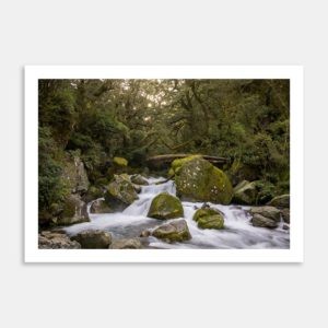 Fiordland New Zealand Art Print By George Chafer