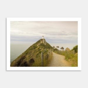 Nugget Point Art Print By George Chafer