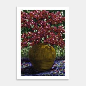 Bougainvillea Art Print By Heather Elliott