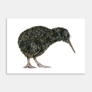 Little Kiwi Art Print By Lesh Creates