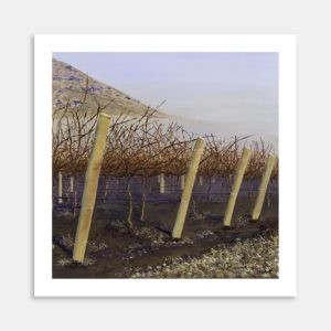 Bannockburn Otago Art Print By Heather Elliott