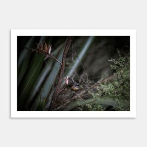 Fantail Landscape Art Print By Jeff Michaels