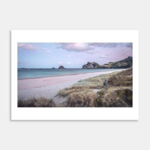 Hahei Beach Sunrise Art Print By Jeff Michaels