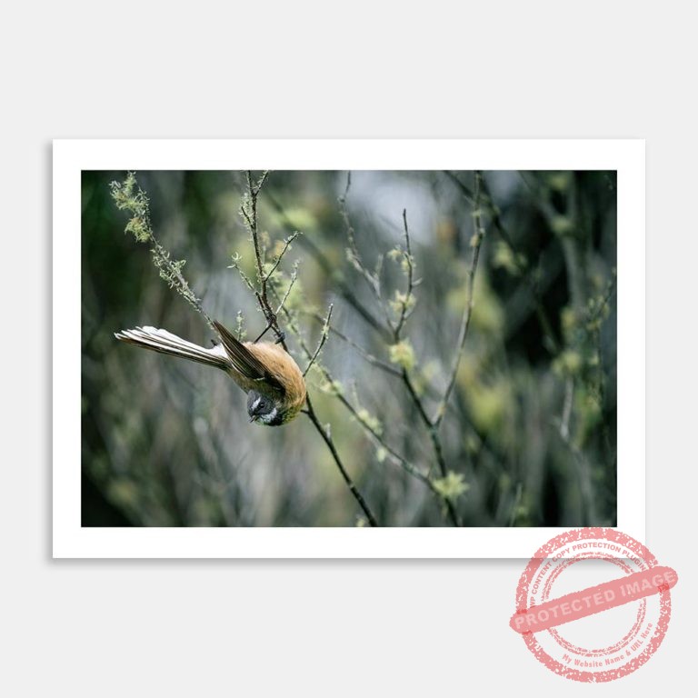 AC-JFM-Hang-About-MI