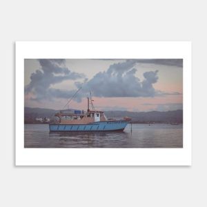 Kōtuku Art Print By Jeff Michaels