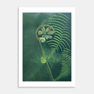 Echoes Of Form Art Print By Marian Leef