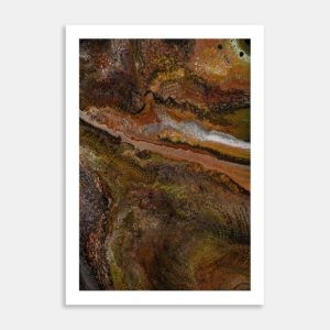 Orange Creations Limited Edition Art Print By Nancy A Crawford