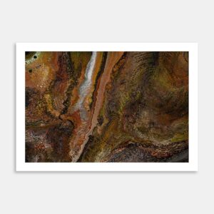 Orange Creations Limited Edition Art Print By Nancy A Crawford