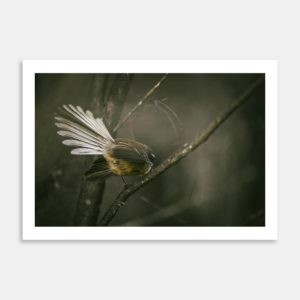 Mystical Fantail Art Print By Jeff Michaels