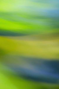 Destina Munro Green Haze