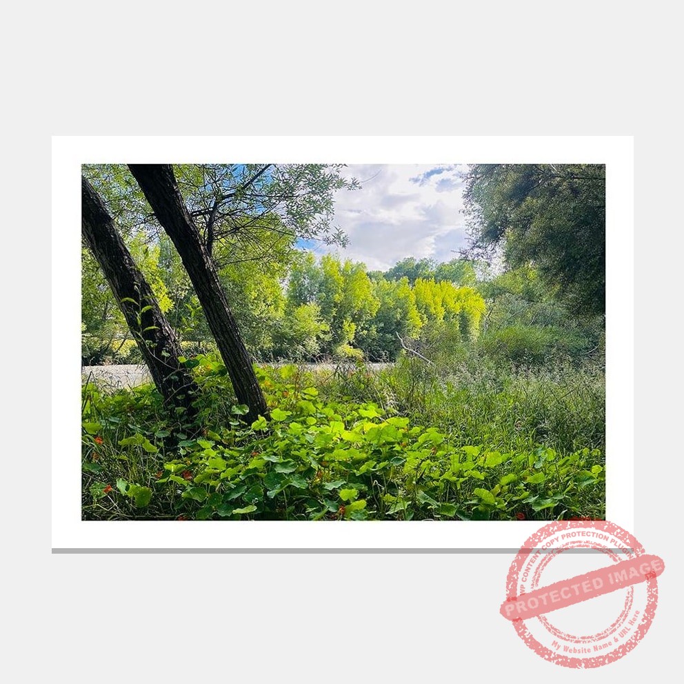 Matted artwork mockup