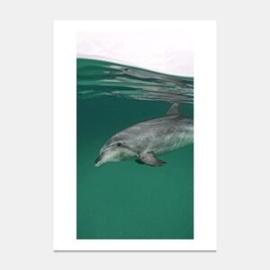 Matted artwork mockup