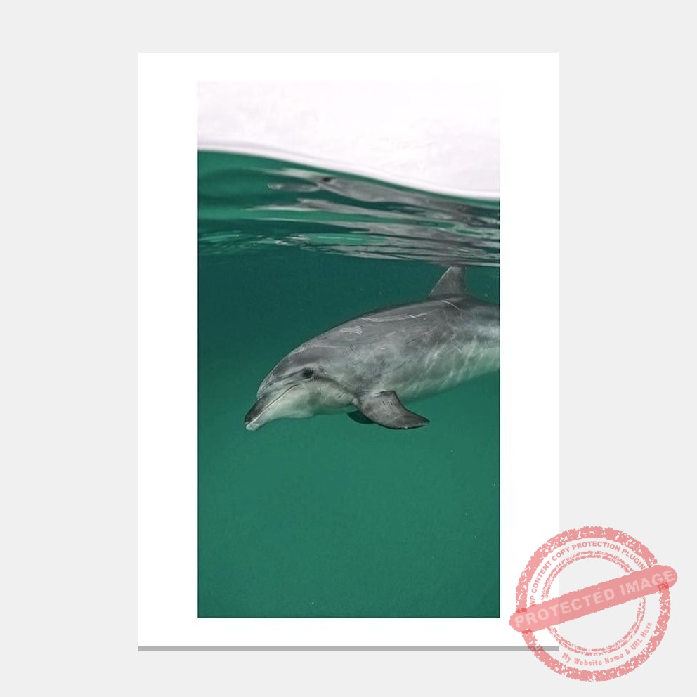 Matted artwork mockup