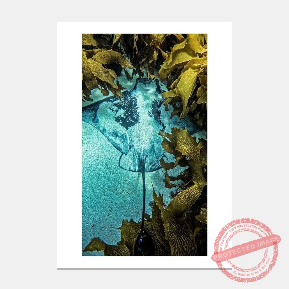 Matted artwork mockup