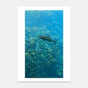 Matted artwork mockup