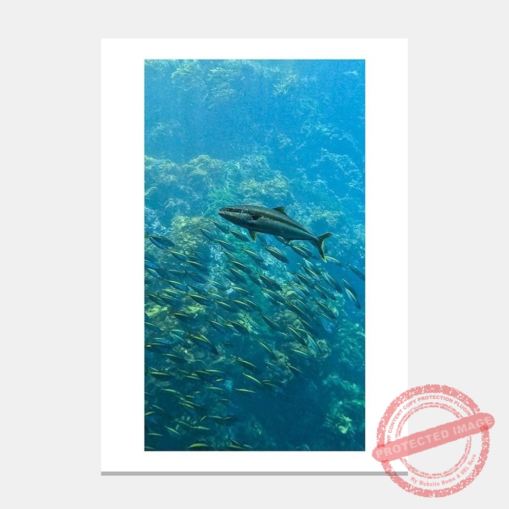 Matted artwork mockup