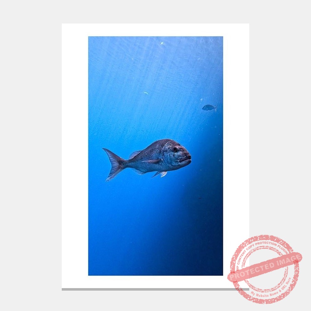 Matted artwork mockup