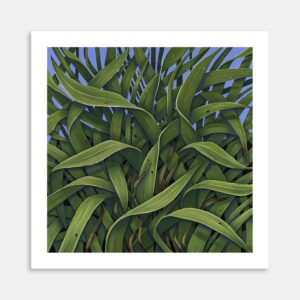 Harakeke Art Print By Nicolle Aston