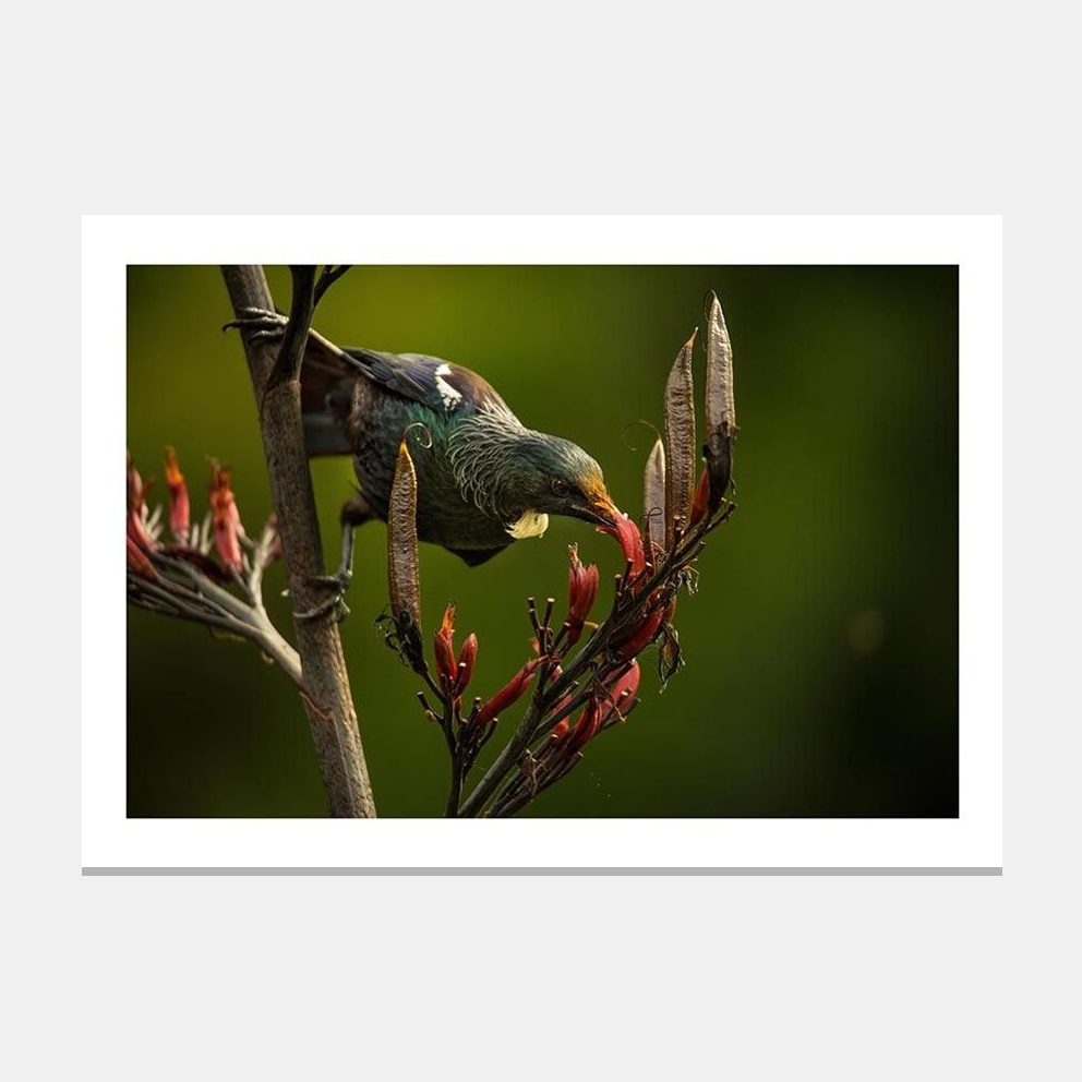 Matted artwork mockup